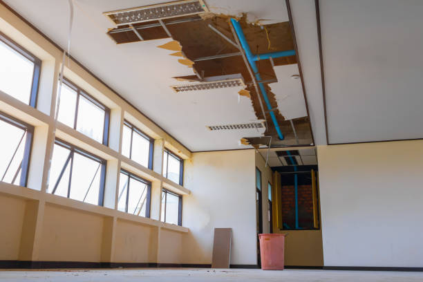 Best Ceiling water damage repair  in Village Of Waukesha, WI