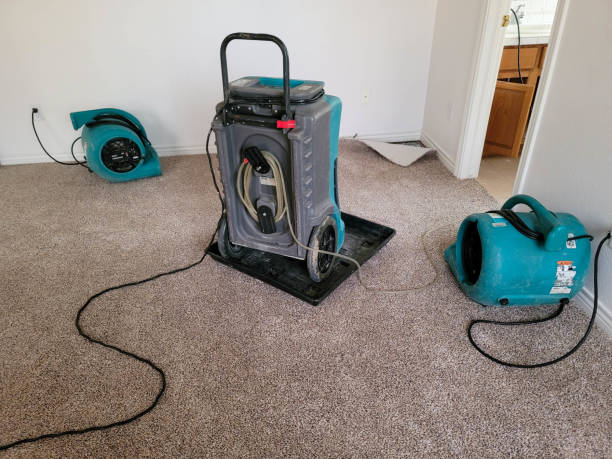 Best Water damage cleanup near me  in Village Of Waukesha, WI